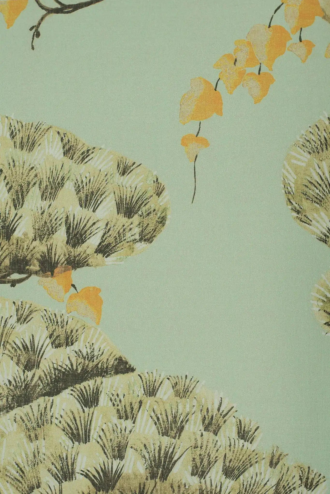 momiji celadon