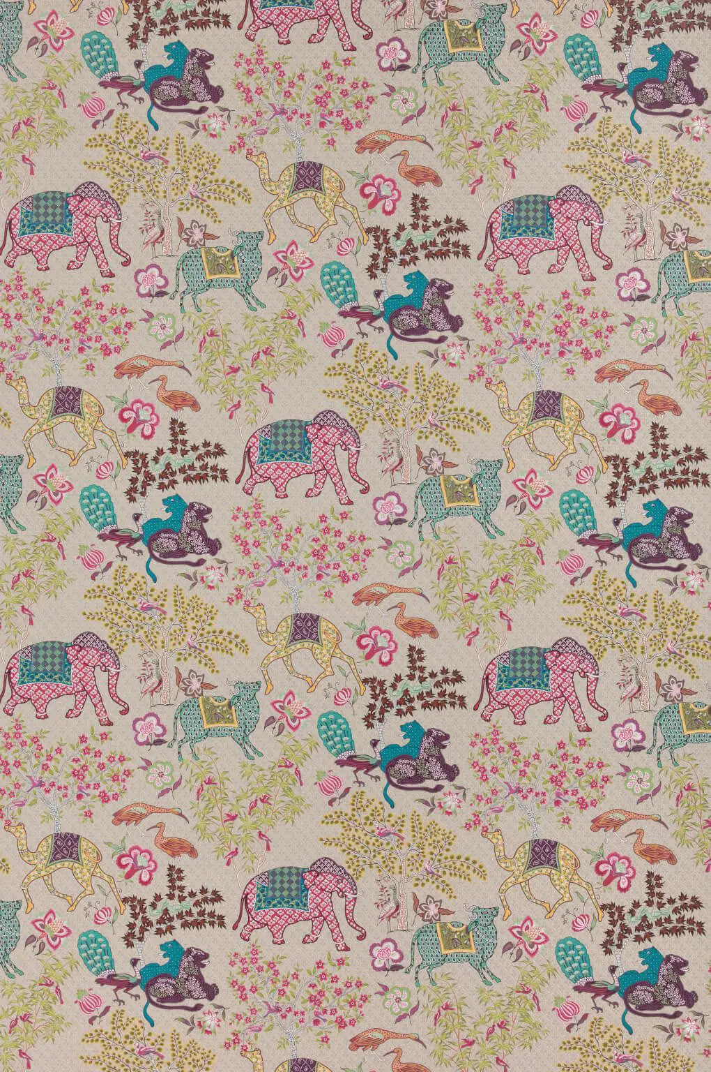jardin de mysore multicolor