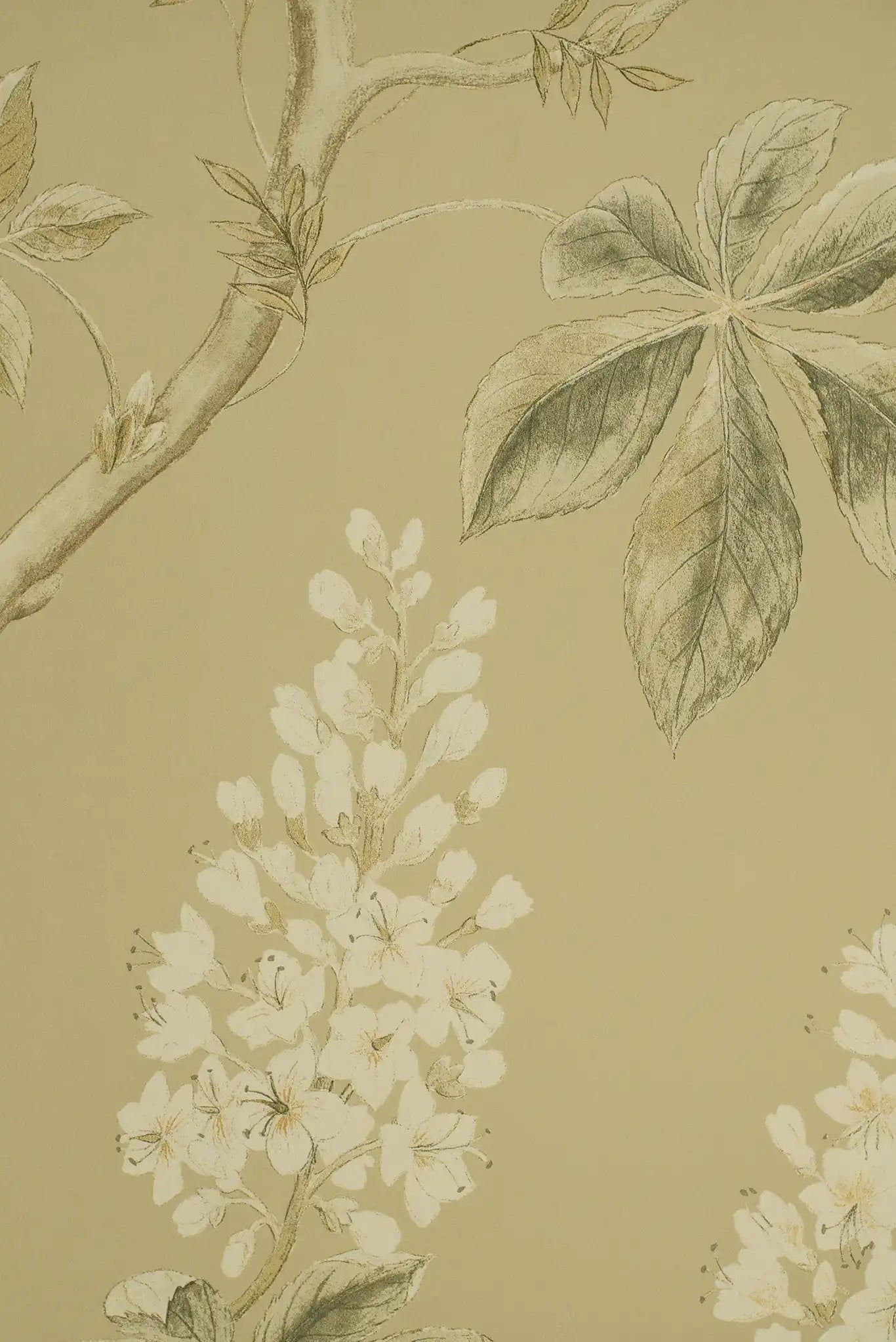 chestnut tree beige