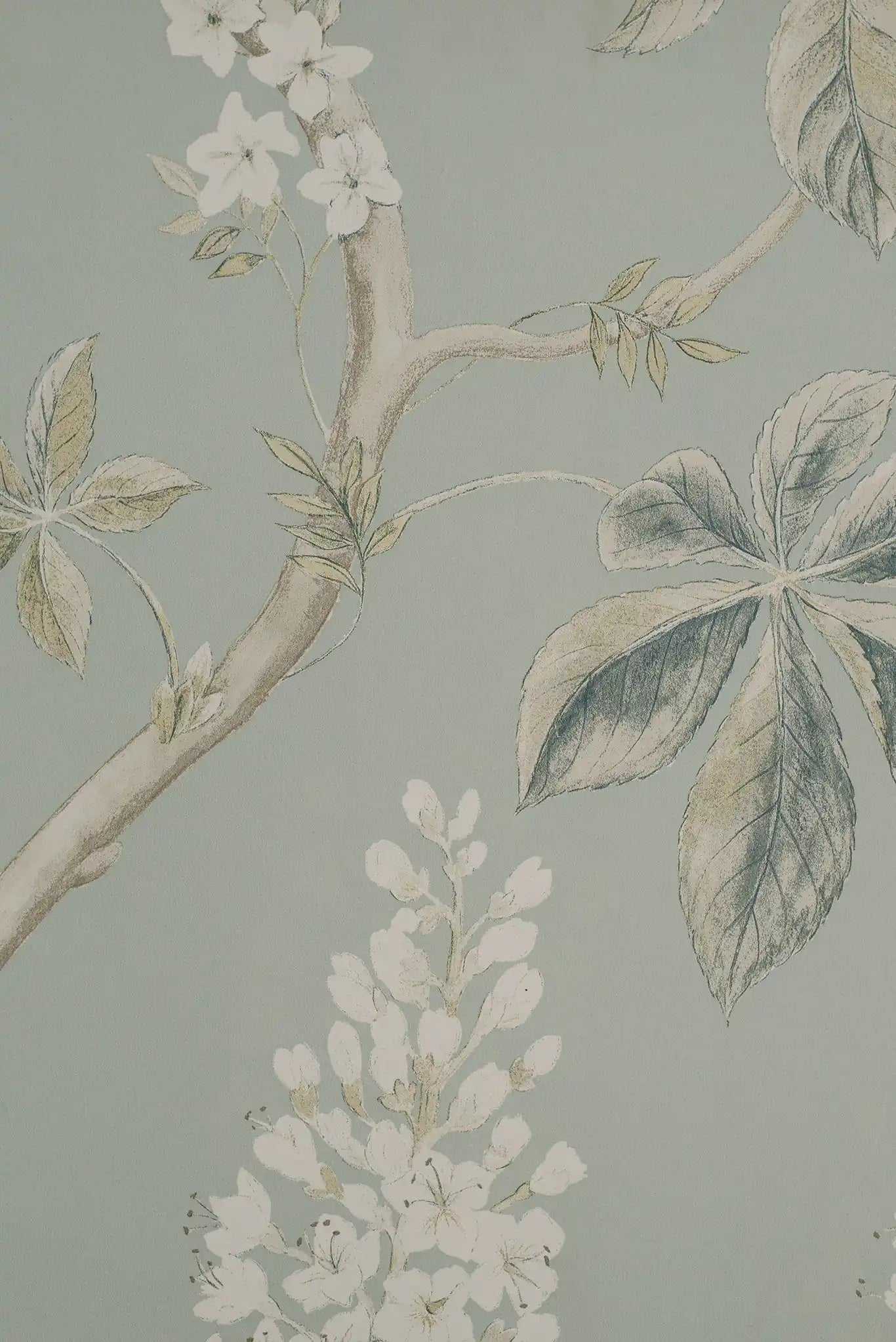 chestnut tree grigio cielo