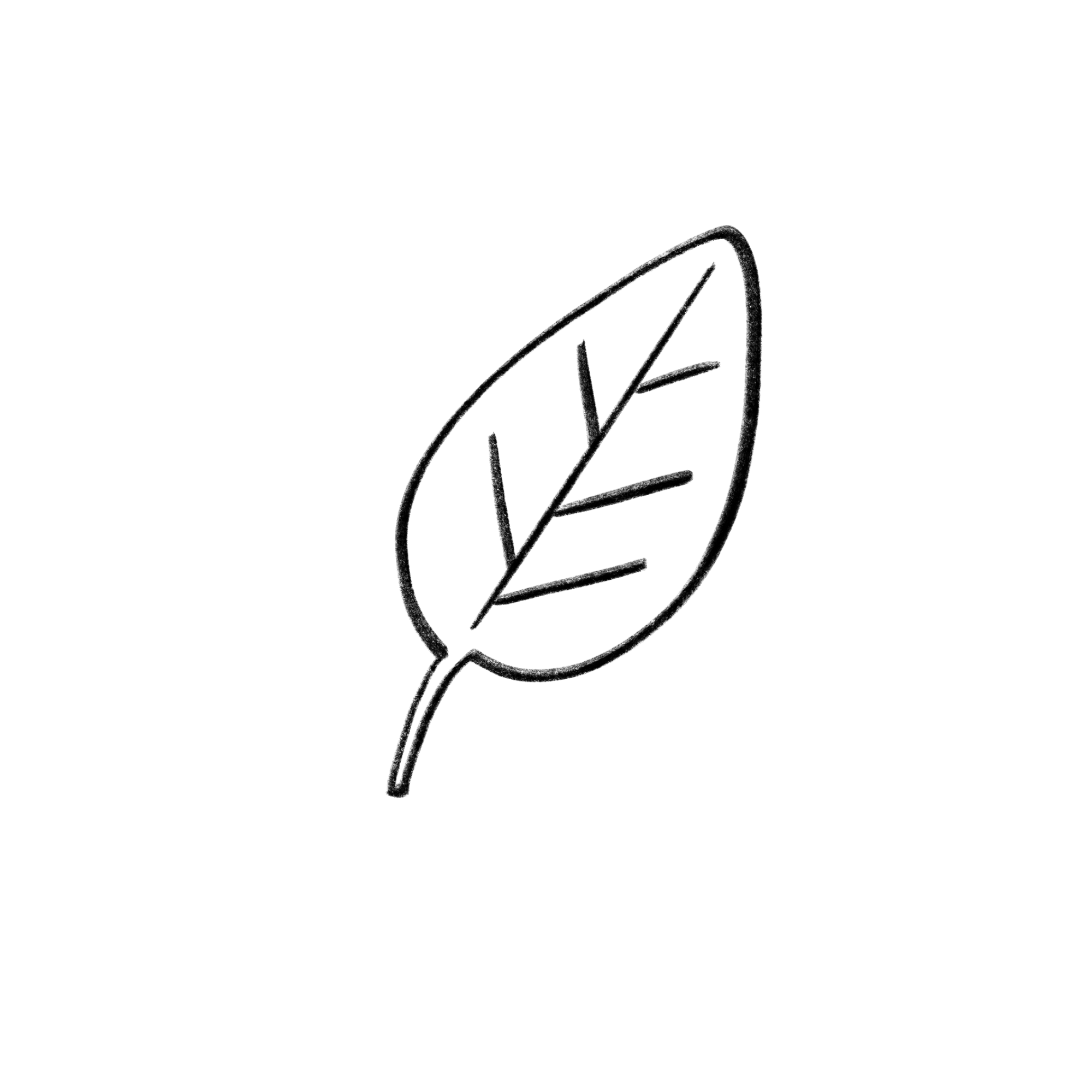 Sustainability