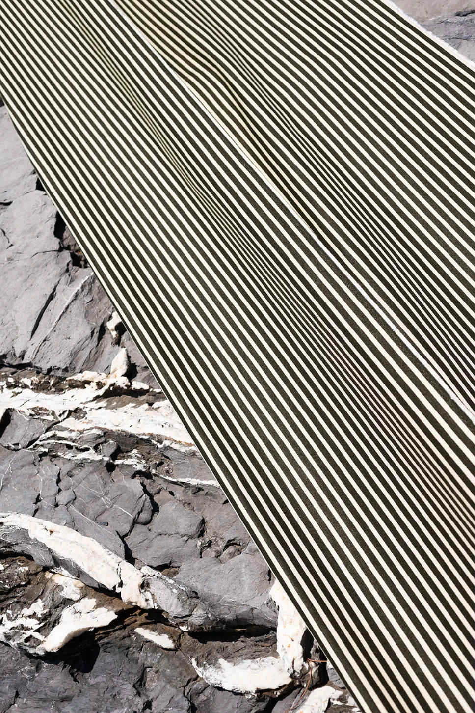 Dedar Strange Loves tessuto ambientazione