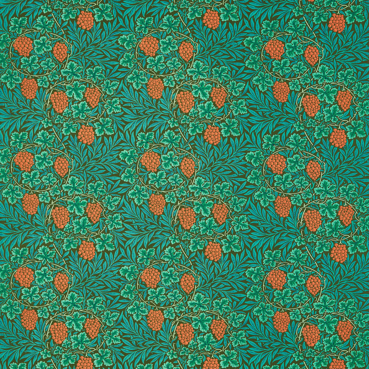 Vine