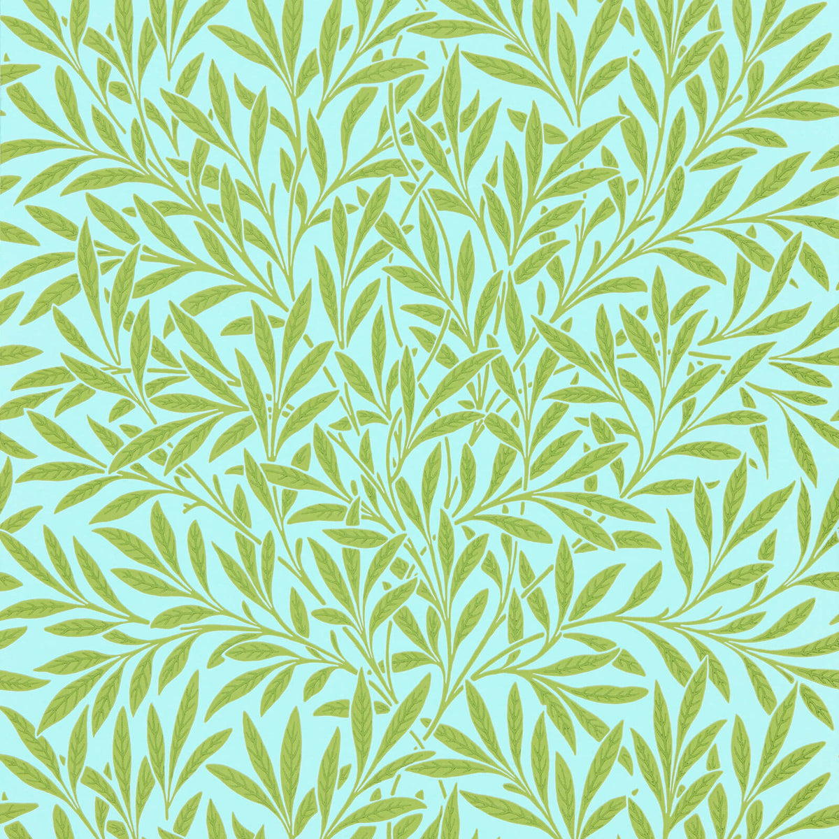 Willow