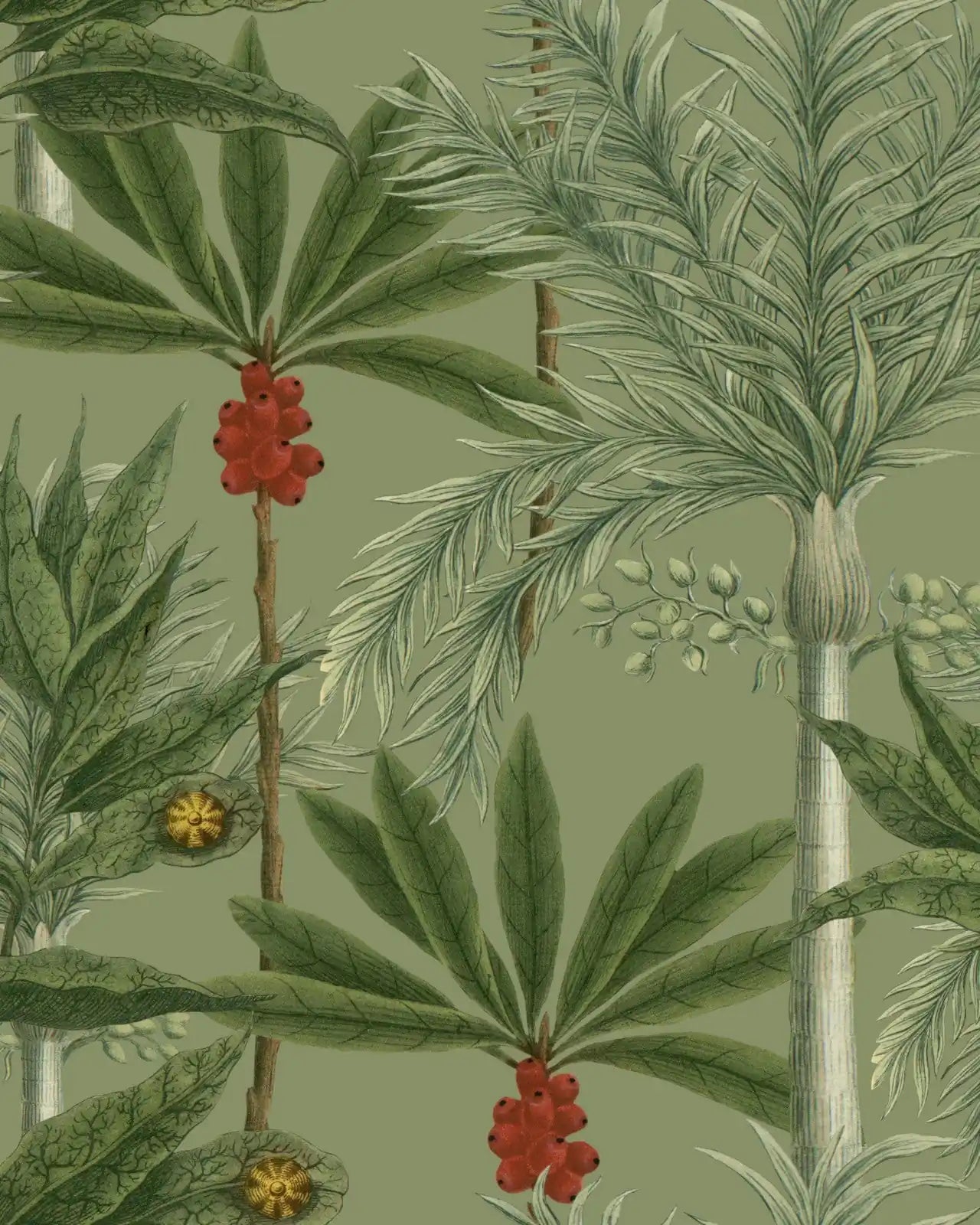 Madagascar
