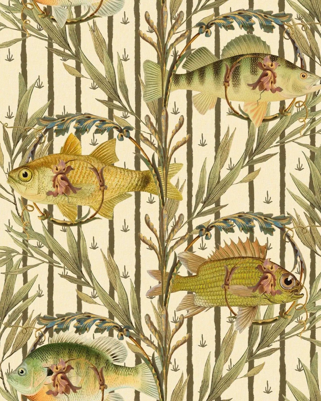 Sweetwater Fishes